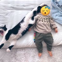 赤ちゃんの頭に後ろ足を乗せて寝そべる猫