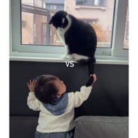 猫と赤ちゃん