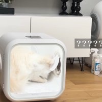 ？？？？？？
