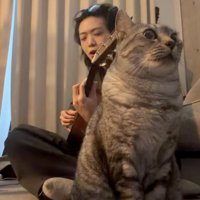 男性の手前で演奏を聴く猫