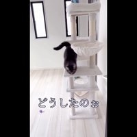 向かってくる姿