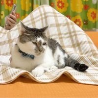 ソファにいる女性と猫