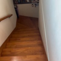 階段を登る飼い主