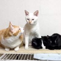 チロちゃんを見つめるむぎくん