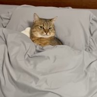 上から(目を開けた顔)