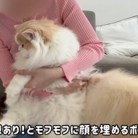 隙あり！