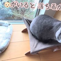 テロップ「赤ちゃん（絵文字）がいると～」