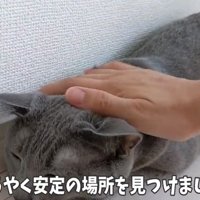 案内終わり