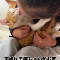 子猫を抱く女の子