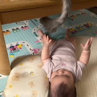 下げる猫