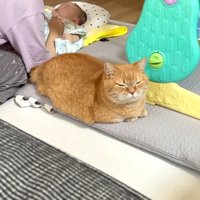 目を閉じた姿