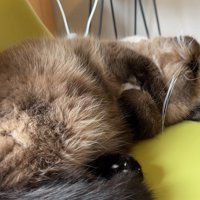 正面から