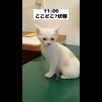 ここどこ？状態