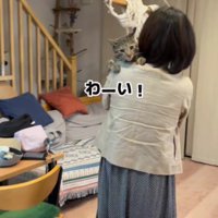 抱っこしてもらう猫