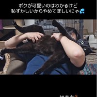 猫吸いする男性
