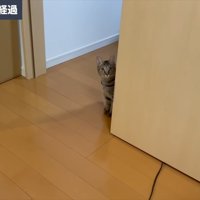 保護して3ヶ月