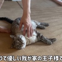 テロップ「びびりで優しい～」