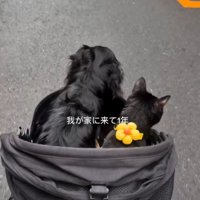 家族と過ごす様子