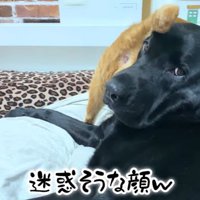 迷惑そうなムニ君