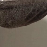 キャットタワーのハンモック