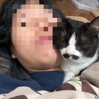 顔同士を密着