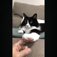 指の背で