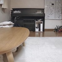 ツリーとひまわりちゃん