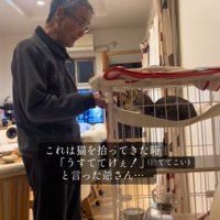 猫と遊ぶお爺ちゃん