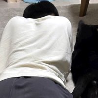 隣に並んで寝転がっている猫と男の子