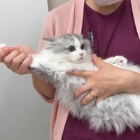 腕を伸ばしたポーズ