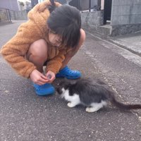 子どもと猫