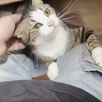 掴まり立ちでなでなで