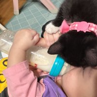 ミルクを飲む赤ちゃんと覗き込む猫
