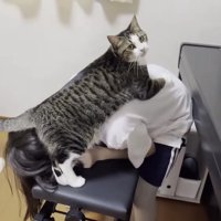 満足そうなおでこちゃん