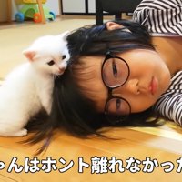 子猫時代