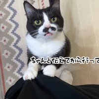 ちゃんと伝えてから