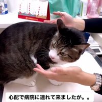診察を開始