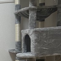 新品のキャットタワー