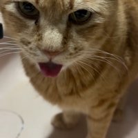 カメラが近づく