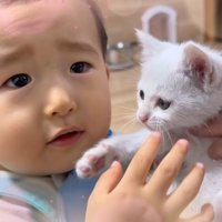 赤ちゃんとゆめこちゃんのアップ