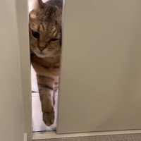 顔をねじ込んで