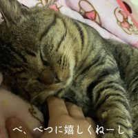 飼い主の手のひらに前足を乗せて寝ている猫