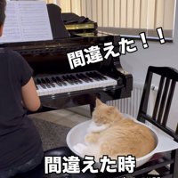 ピアノを弾く家族