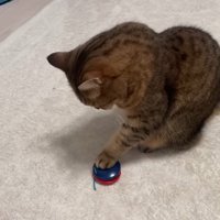 叩き中(横から)