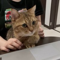 飼い主さんと一緒に見るみにらくん