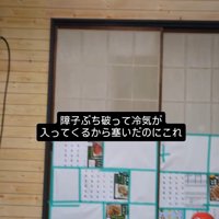 室内を見まわす飼い主