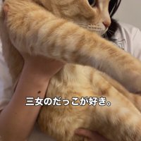 抱っこされる猫