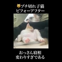 おっさん寝相