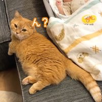 ん？