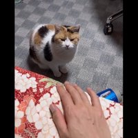 ベッド下からこちらを見上げて